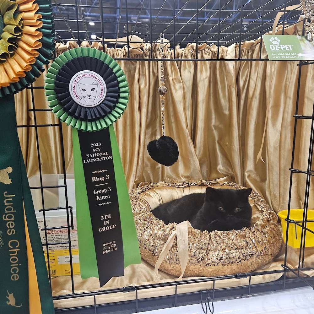 2023 National Show Results